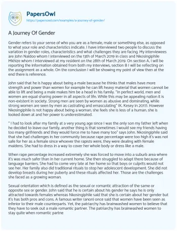 Essay on A Journey of Gender