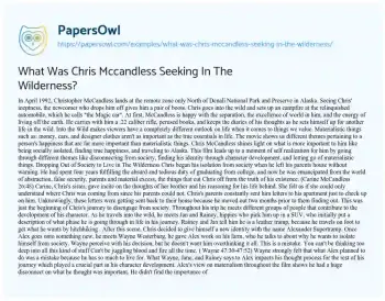 Essay on What was Chris Mccandless Seeking in the Wilderness?