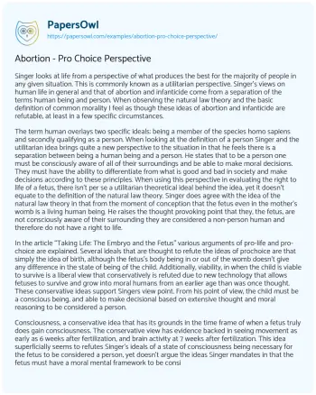 Essay on Abortion – Pro Choice Perspective