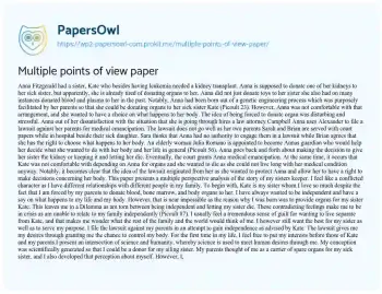 Essay on Multiple Points of View Paper