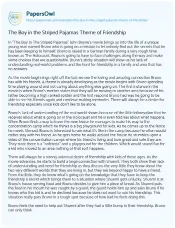 Essay on The Boy in the Striped Pajamas Theme of Friendship