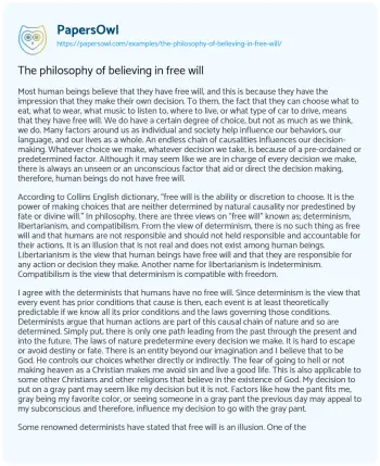 Essay on The Philosophy of Believing in Free Will