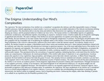 Essay on The Enigma: Understanding our Mind’s Complexities