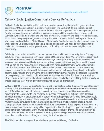 Essay on Catholic Social Justice Community Service Reflection