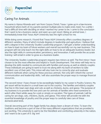 Essay on Caring for Animals