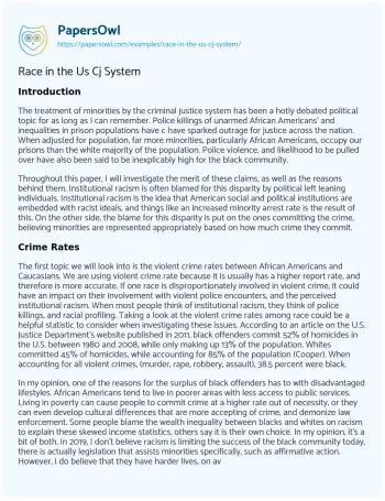 Essay on Race in the Us Cj System