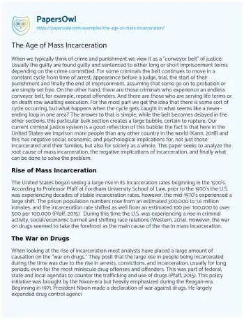 Essay on The Age of Mass Incarceration