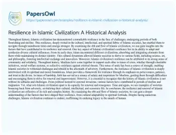 Essay on Resilience in Islamic Civilization: a Historical Analysis