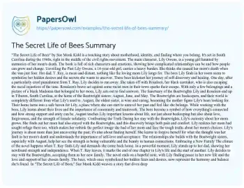 Essay on The Secret Life of Bees Summary