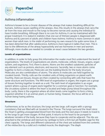 Essay on Asthma Inflammation