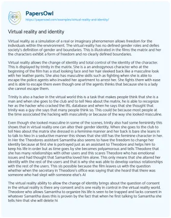 Essay on Virtual Reality and Identity