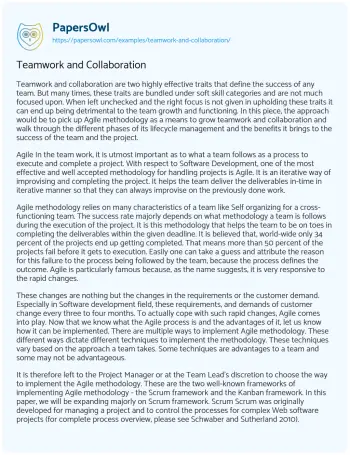 Essay on Teamwork and Collaboration