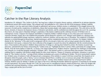 Essay on Catcher in the Rye Literary Analysis