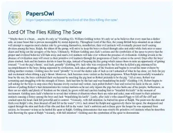 Essay on Lord of the Flies Killing the Sow