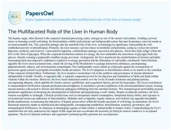 Essay on The Multifaceted Role of the Liver in Human Body