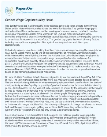 Essay on Gender Wage Gap: Inequality Issue