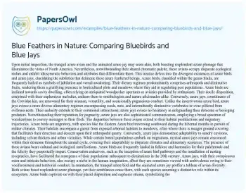 Essay on Blue Feathers in Nature: Comparing Bluebirds and Blue Jays