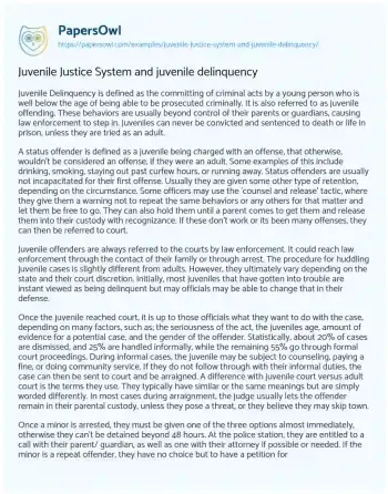 Essay on Juvenile Justice System and Juvenile Delinquency