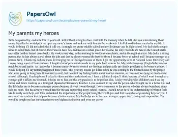 Essay on My Parents my Heroes