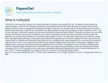 Essay on What is Volleyball