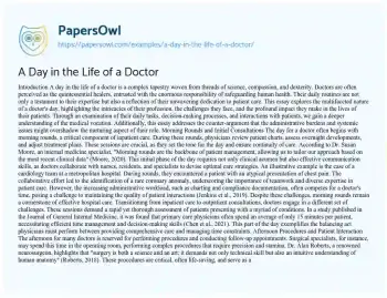 Essay on A Day in the Life of a Doctor