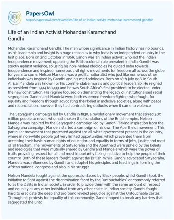 Essay on Life of an Indian Activist Mohandas Karamchand Gandhi