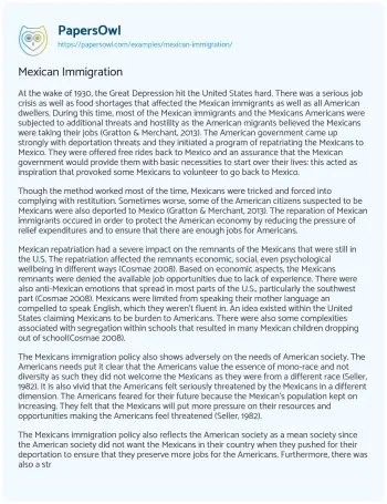 Essay on Mexican Immigration