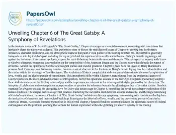 Essay on Unveiling Chapter 6 of the Great Gatsby: a Symphony of Revelations