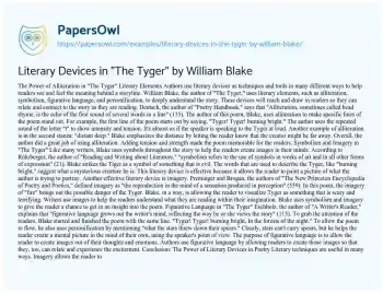 Essay on Literary Devices in “The Tyger” by William Blake