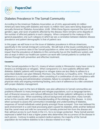 Essay on Diabetes Prevalence in the Somali Community