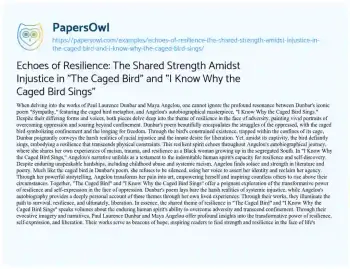 Essay on Echoes of Resilience: the Shared Strength Amidst Injustice in “The Caged Bird” and “I Know why the Caged Bird Sings”