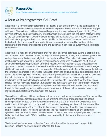 Essay on A Form of Preprogrammed Cell Death