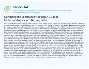 Essay on Navigating the Spectrum of Nursing: a Guide to Understanding Various Nursing Roles