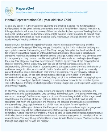 Essay on Mental Representation of 3-year-old Male Child