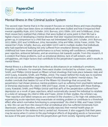 Essay on Mental Illness in the Criminal Justice System