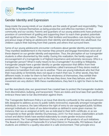 Essay on Gender Identity and Expression