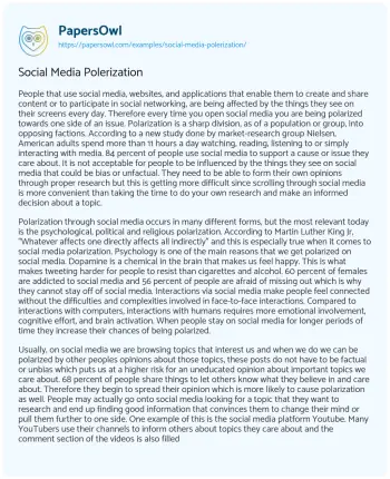 Essay on Social Media Polerization