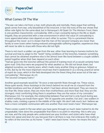 Essay on What Comes of the War