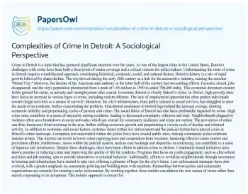 Essay on Complexities of Crime in Detroit: a Sociological Perspective