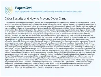 Essay on How to Stop Cyber Crime