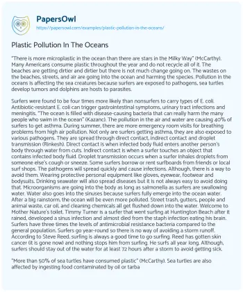 Essay on Plastic Pollution in the Oceans