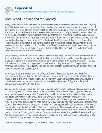 Essay on Book Report the Iliad and the Odyssey