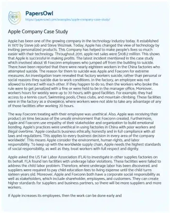 Essay on Apple Company Case Study