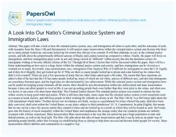 Essay on A Look into our Natio’s Criminal Justice System and Immigration Laws