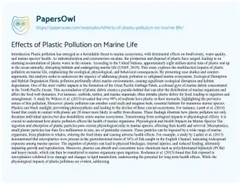 Essay on Effects of Plastic Pollution on Marine Life