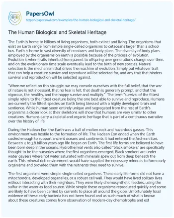 Essay on The Human Biological and Skeletal Heritage