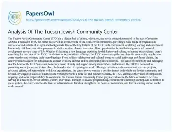 Essay on Analysis of the Tucson Jewish Community Center