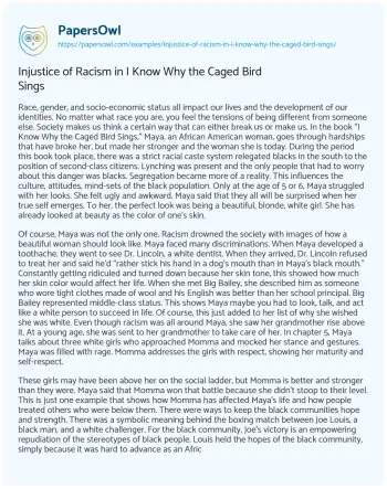 Essay on Injustice of Racism in i Know why the Caged Bird Sings