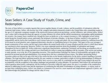 Essay on Sean Sellers: a Case Study of Youth, Crime, and Redemption