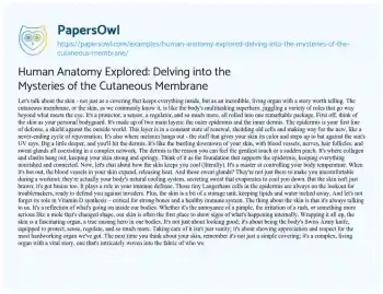 Essay on Human Anatomy Explored: Delving into the Mysteries of the Cutaneous Membrane